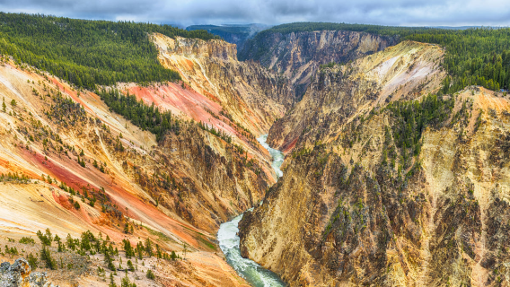 West Yellowstone: tour di un giorno al Parco nazionale di Yellowstone - tour di gruppo