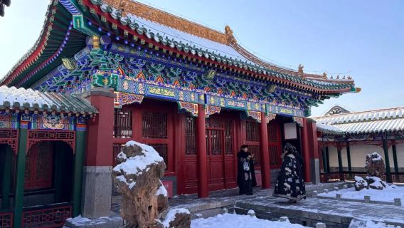 Şenyang Yasak Şehir + Zhang Xueliang Evi + Zhao Yidi Evi + Dongbei Bölgesi Günübirlik Turu (Giriş Ücreti Dahil Değildir)