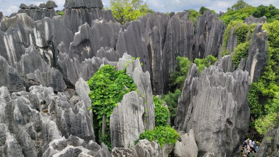  ทัวร์วันป่าหินฉีหลินคุนหมิงและหมู่บ้านชาวประมงทะเลสาบเตียนฉือ 
