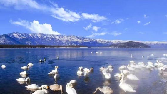 【道東三湖秘境遊】摩周湖+阿寒湖+屈斜路湖｜歡迎查詢定制