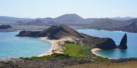 【阿根廷烏斯懷亞包車】馬丁洛島企鵝島(不含門票)