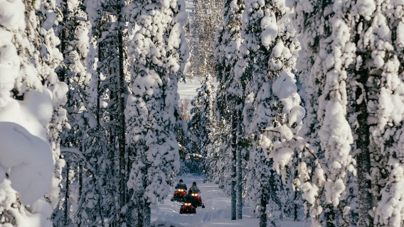 Moottorikelkka- ja husky-rekkiretki Rovaniemellä