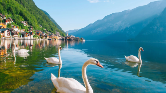 Austria Vienna: 1-day tour to Hallstatt + Salzburg + Alps and lake area