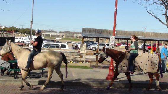 Fort Worth: Heritage and Landmarks Tour 70 MIN OR 3 HOURS