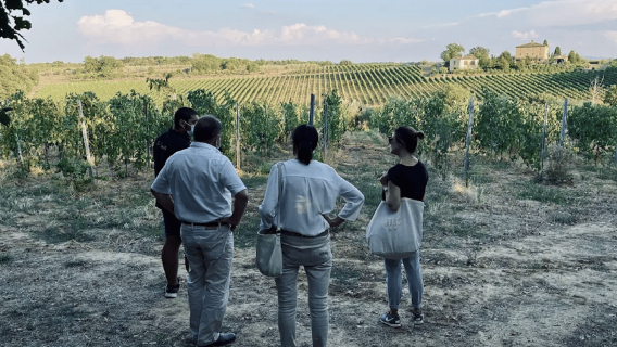 Perugia: Winery Tour & Food Tasting - Guided by the Owner