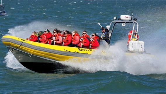 San Francisco Bay: Small-Group Adventure Cruise