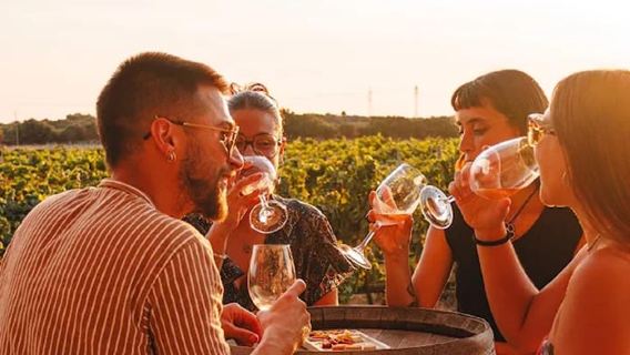 Ciutadella de Menorca: Family Winery Tour with Wine Tasting