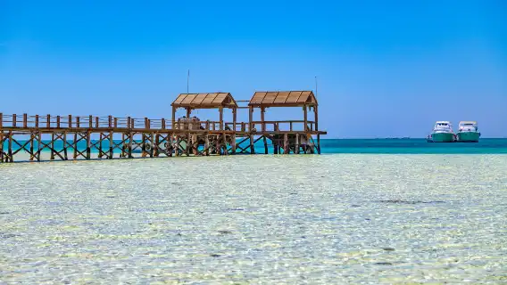 ทัวร์ทะเลแดง ภาษาจีนกลาง ไกด์ ชาวจีน/อังกฤษ /อาหาร/อุปกรณ์ดำน้ำตื้น/รถรับส่ง/ตามล่าปลาโลมา/เกาะออเรนจ์