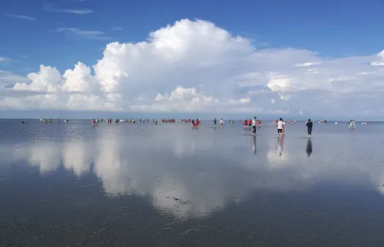 馬來西亞天空之鏡+喂老鷹+螢火蟲+藍眼淚套票大小同價(非馬來西亞籍遊客)