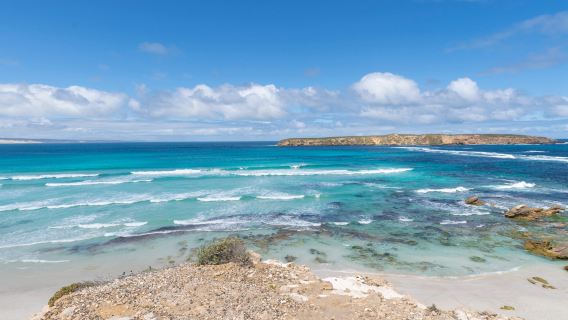 tour di un giorno a Coffin Bay, nell'Australia Meridionale, con splendide ostriche e avventure fuoristrada, è un'esperienza imperdibile nella penisola di Eyre.