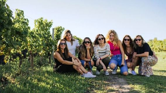Saint-Emilion Wine Region Morning Tour with Tastings & Local Guide