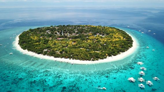 lawatan sehari di Pulau Bohol mengejar lumba-lumba + snorkeling di Balicasag + pengalaman memancing di laut|pergi-balik pengangkutan