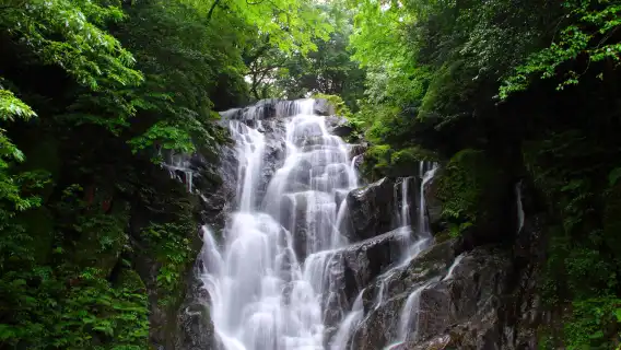 คิวชู อิโตชิมะ: ทัวร์ 1 วัน ฟุกุโอกะ อิโตชิมะ + ชิงช้าใต้ต้นมะพร้าวสุดโรแมนติก + หินคู่แต่งงาน ซากุระอิ ฟุตะมิกะอุระ