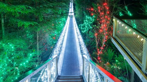 Vancouver: Recorrido navideño con las luces del Cañón de Capilano