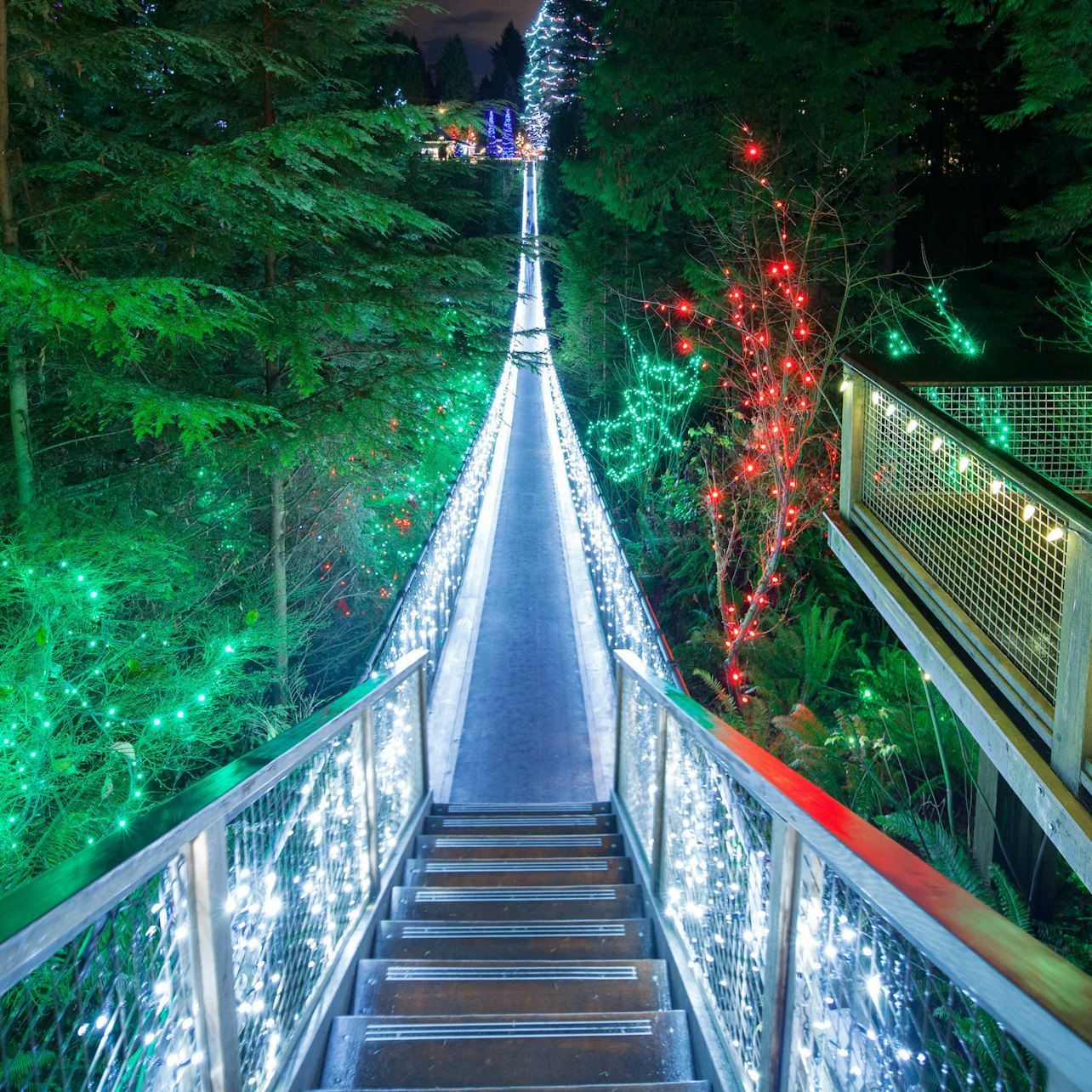Vancouver: Recorrido navideño con las luces del Cañón de Capilano