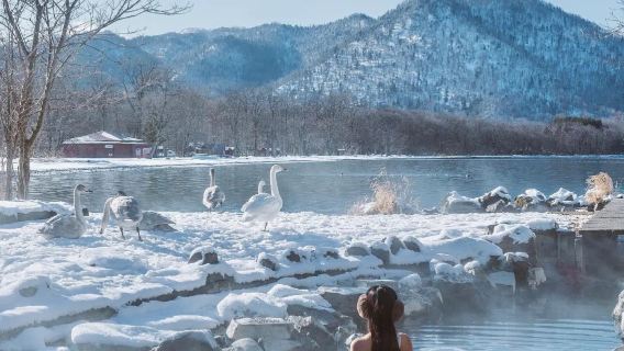 日本小樽登別天狗山朝裡船見阪/可札幌富良野美瑛北海道包車精選