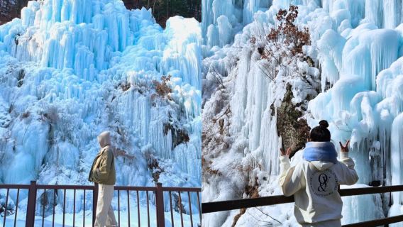 Winter Limited|Fish Fly Valley Glacier X Alpaca World X Nami Island X Garden of Morning Calm Night Lights