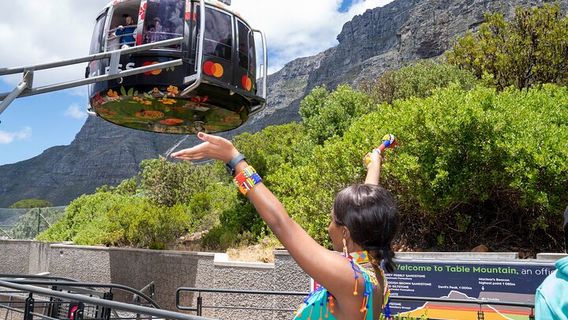 Cape TownTours