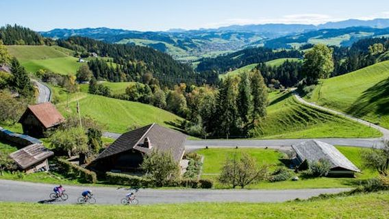 Lucerne