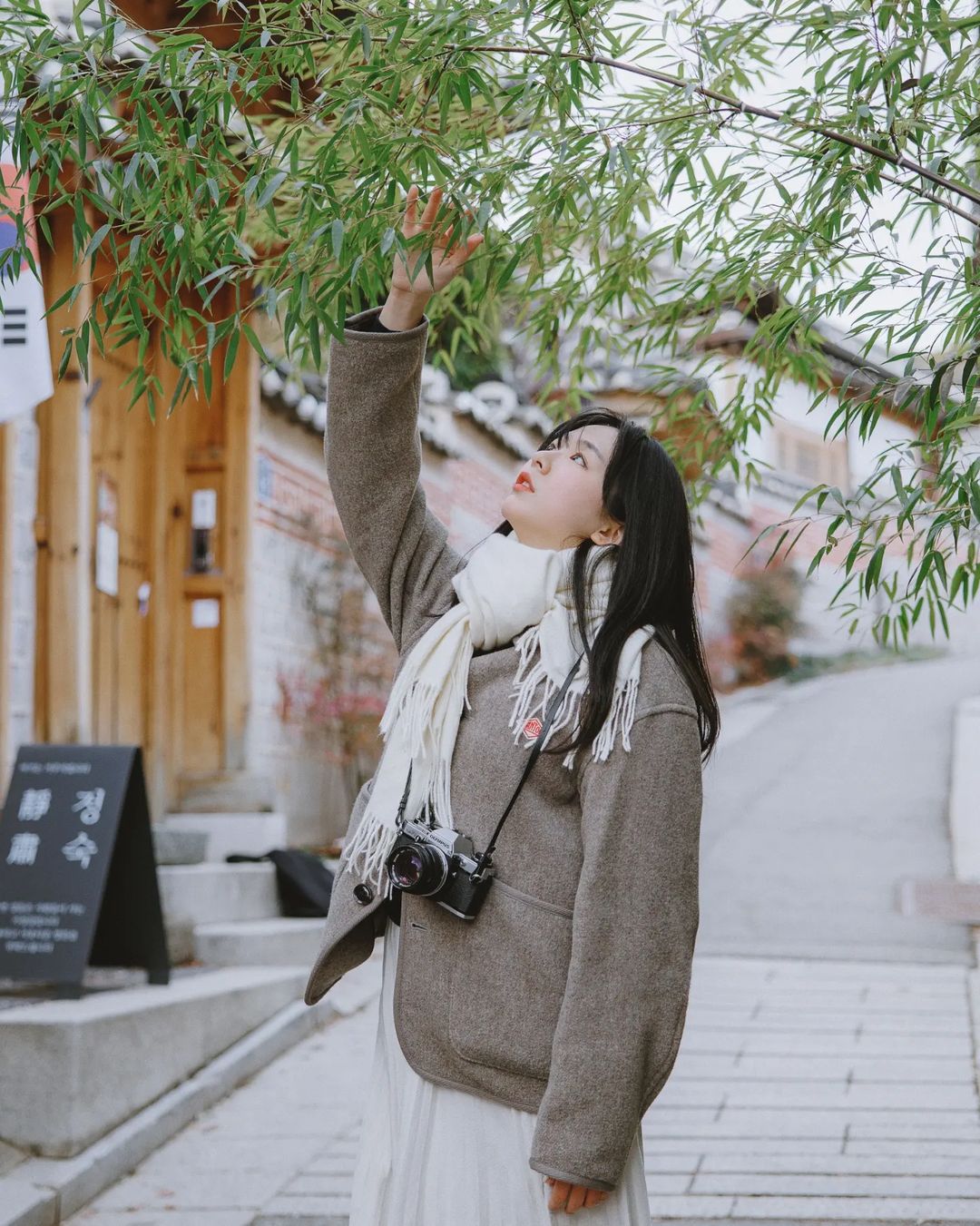 Travel photography in Amman, Jordan[Driver, guide and travel photographer, aerial photography + wedd