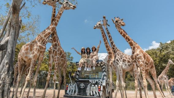 Hua Hin Safari & Adventure Park Adventure (Self-guided, No Guide, No Meeting Required)