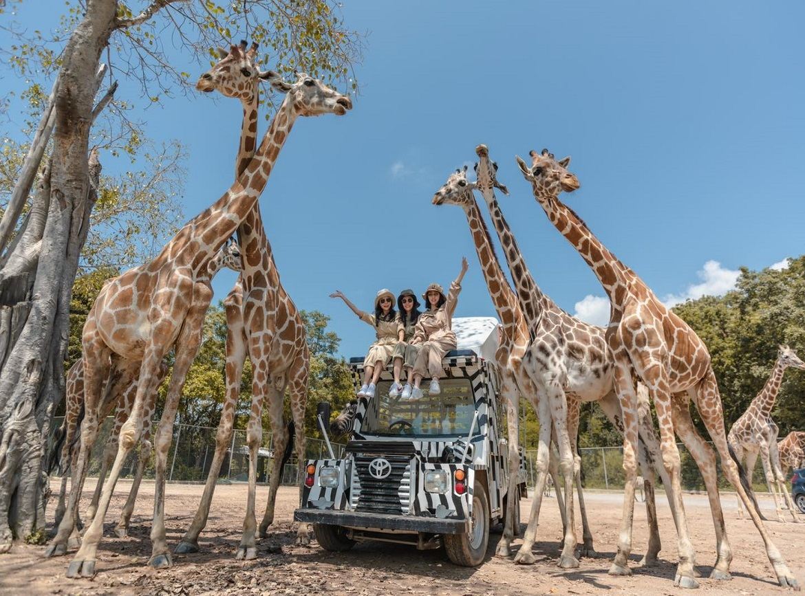 Avventura allo zoo safari di Hua Hin (accesso indipendente, senza guida, nessun punto di incontro)