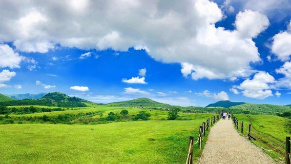 Taipei Day Tour: Beitou, Geothermal Valley, Yangmingshan, Yehliu