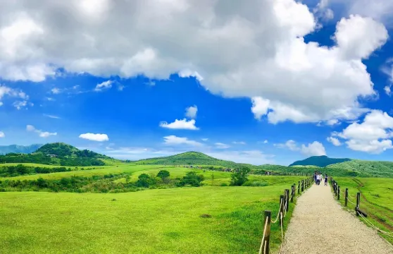 台北一日遊：北投、地熱谷、陽明山、野柳（含接送）