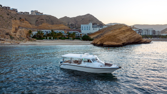 Muscat Dolphin Watching Tour – Cruise the Gulf of Oman (Daily Morning Trip)