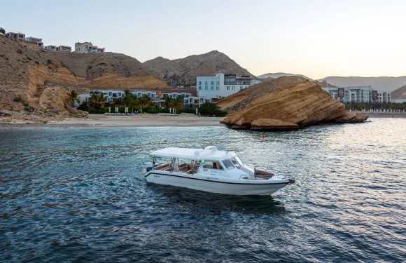 馬斯喀特觀賞海豚之旅 – 阿曼灣郵輪遊（每日上午行程）