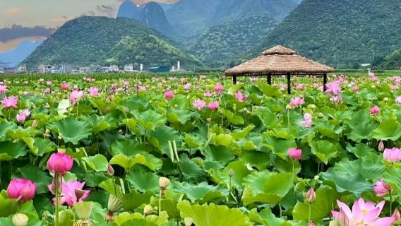 частный тур по живописному району Пучжэхэй