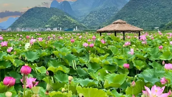 Puzhehei Scenic Area Private Tour