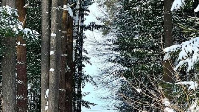 日本北海道+旭川+旭山動物園一日遊/行程可調-可定制多日