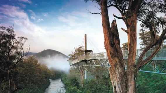 Hobart: Hastings Cave, Tahune Airwalk and Huon Tasting Trail