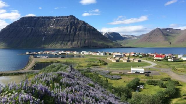 Ísafjörður: Flateyri Village tour: Nature, Culture, History