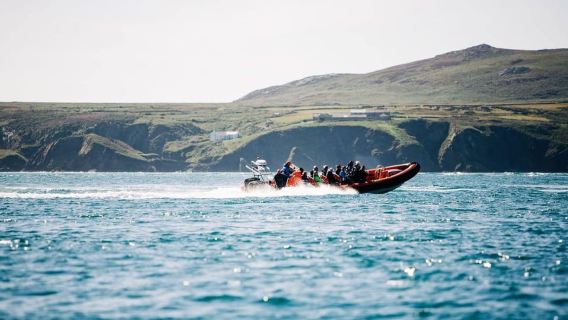 Newhaven: Bootstour zu den Seven Sisters und Birling Gap
