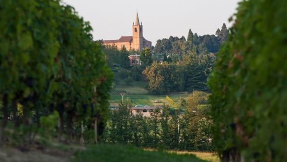 Degustazione di vini nel cuore del Monferrato - Alla scoperta del Grignolino