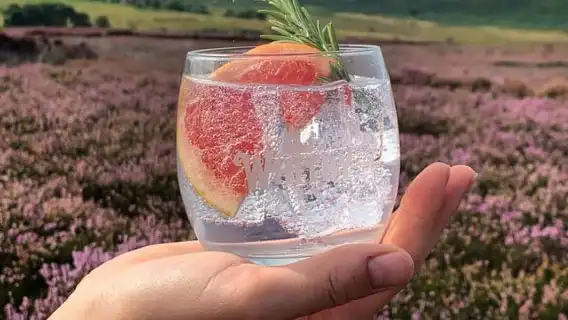 Whitby: Guided Distillery Tour with Gin Tasting
