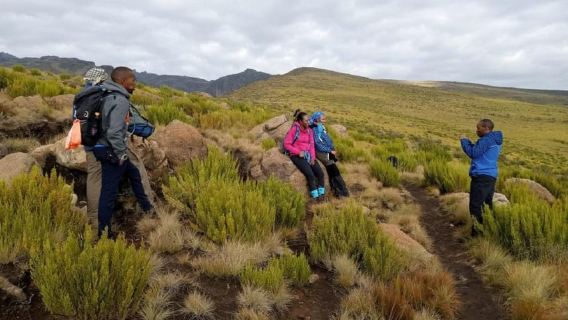 Từ Nairobi: Đi bộ đường dài đến Công viên Quốc gia Núi Kenya kèm bữa trưa