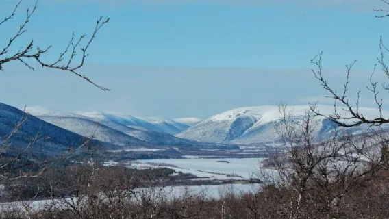 Unique Husky & Fishing Experience in Inari (Private)