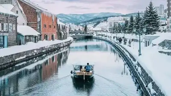 北海道神威岬+島武意海岸+小樽運河一日遊【 訂製包車團】