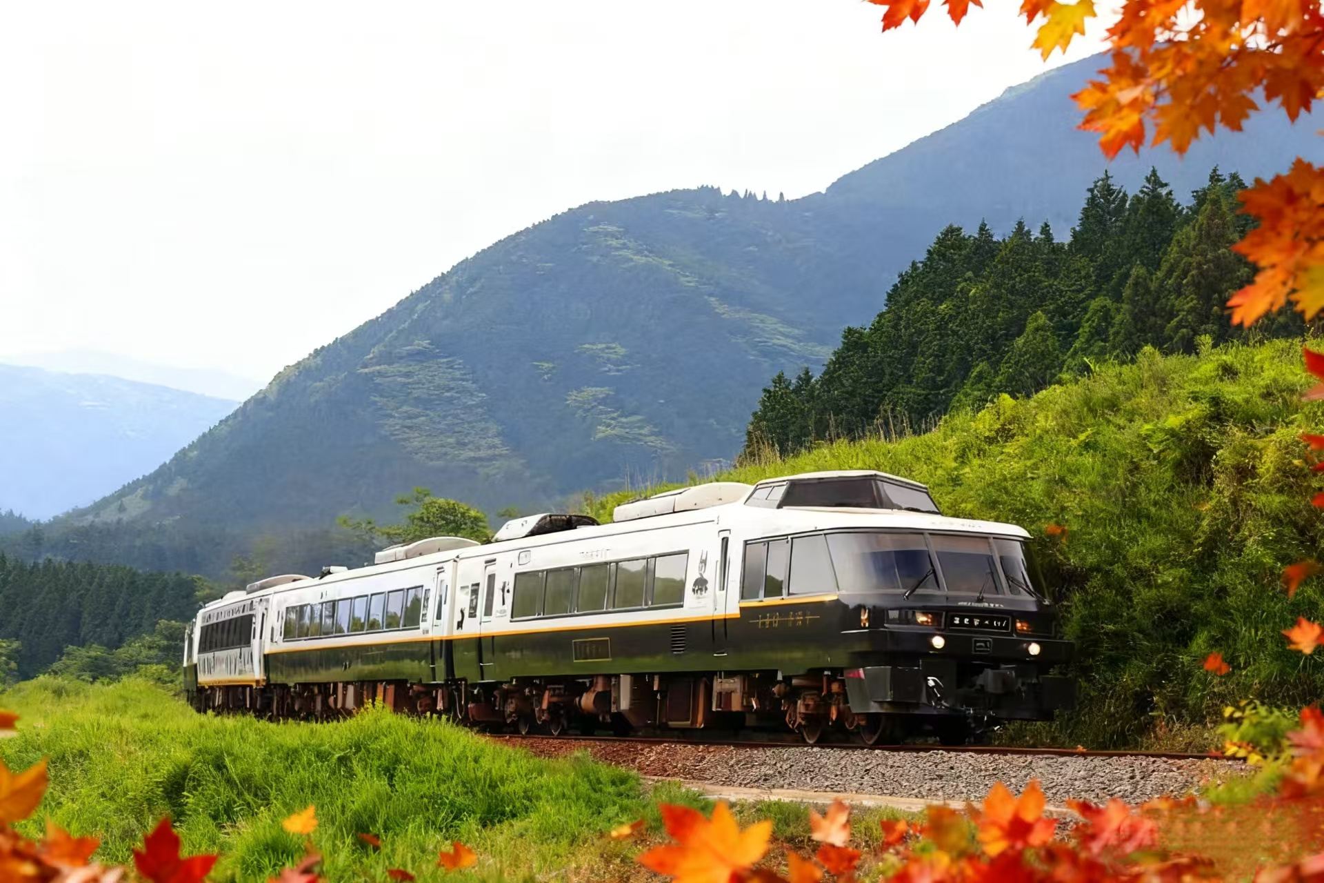 Departing from Kumamoto/Fukuoka, explore Kumamoto Castle + Kusasenri + Mount Aso + Aso Boy in Kyushu