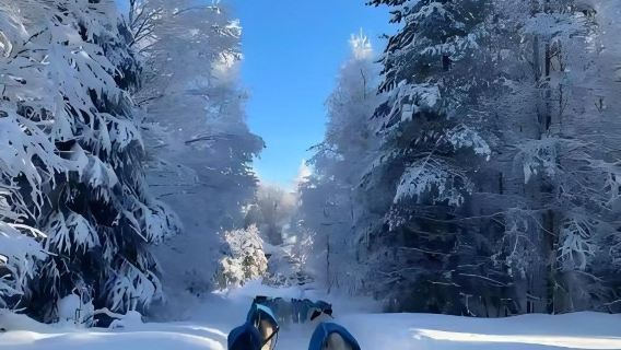 芬蘭+羅瓦涅米+世界最北麥當勞一日遊/行程可調-可定制多日
