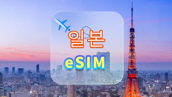 일본 │Docomo 4G eSIM │데일리팩 │고속 인터넷 │카드 분리 불필요 │내추럴 데이 │QR 코드