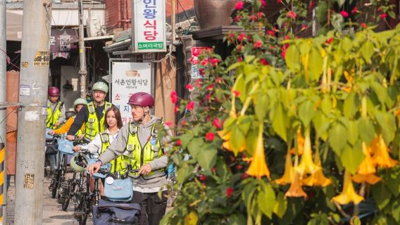 Seoul: E-Bike-Tour zu den Highlights der Stadt
