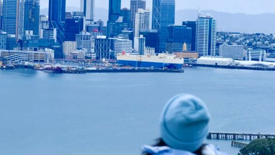 新西蘭奧克蘭市區網紅景點鳥島黑沙灘達文波特-包車-精選行程