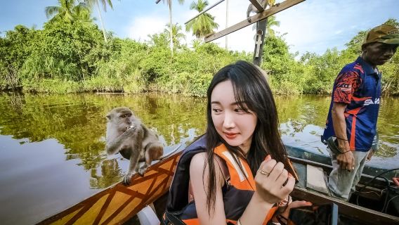 Kota Kinabalu: crociera safari sul fiume Bongawan, lucciole e tour della città con 6 fermate