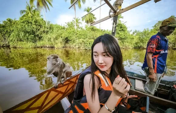 亞庇：旺家灣河川郵輪探險、螢火蟲、火焰表演及市區觀光（6個景點）