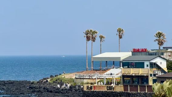 Jeju Island Udo [East Route Private Charter + Chinese Service] 1-Day Tour