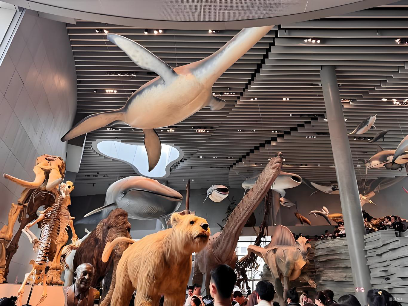 Shanghai Natural History Museum Ticket Booking: A Comprehensive Exploration Space to Experience the Magnificence of Nature and Life